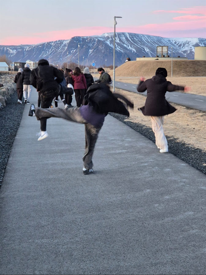 EBS Students jumping in Iceland